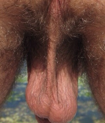 Holy Balls! 5d116f2d54d7c.jpg