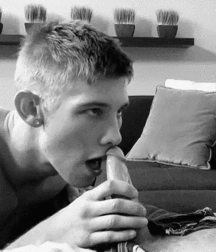 Cocksucking 5dddebc112059.gif