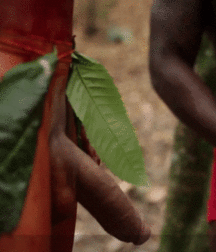 Sucking Cock Gay Boy Porn 5e125cb5627d6.gif