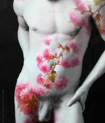 Naked Male Art Boys Porn 5e9c52cc4e8f5.jpg