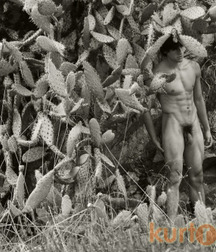 Male Nude Photography gay porn tube - groups, outdoors, solo 5e9caadec16f6.jpg