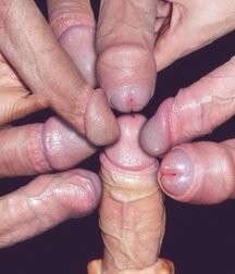 Twinks Fun Stuff, Comical Nudity 5ed7f215ed160.jpg