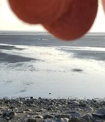 Nutscaping - New Online Trend 5ed9722cd5eff.jpg
