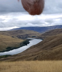 Nutscaping - New Online Trend 5ed97235c3f44.png