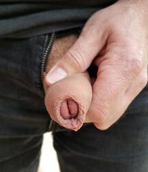 The Dick File-long-short-fat-skinny-uncut-cut-white-black 5ed9741a2b01d.jpg