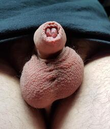 The Dick File-long-short-fat-skinny-uncut-cut-white-black 5ed9742080f14.jpg