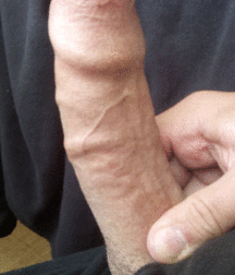 The Dick File-long-short-fat-skinny-uncut-cut-white-black 5ed9743684430.gif