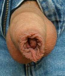 The Dick File-long-short-fat-skinny-uncut-cut-white-black 5ed97440a6085.jpg