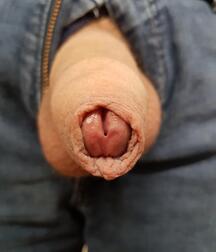 The Dick File-long-short-fat-skinny-uncut-cut-white-black 5ed97453a949e.jpg