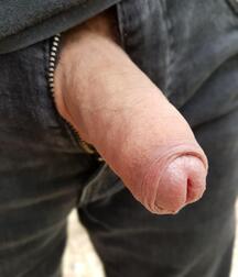 The Dick File-long-short-fat-skinny-uncut-cut-white-black 5ed9745ee4234.jpg