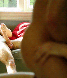 Boys Porn Jacking Off All Of Our Pastimes 5ef5250de1006.gif