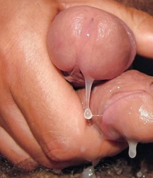 2 Cocks R Better Than 1 - Frottage Boys Porn 5f4323dca2e4b.jpg