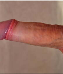 Wonderful World of Teen Dicks, Naked, Hard, Cut, Uncut Boys porn 5f4998d36463a.jpg