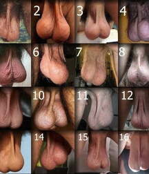 Fun Stuff Porn - Naked Male Images - Funny 5f503d04d1eaa.jpg