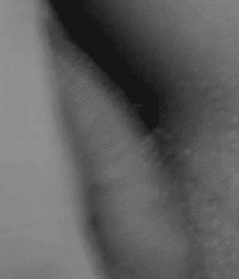 Oral Sex - Front & Back - Hot Licking Twinks Porn 5f5ed3ddb96ea.gif