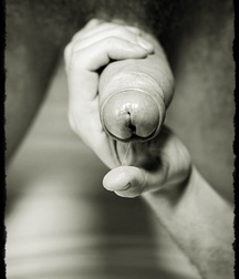 Boys Porn For the Love of Cock - Just Cocks, Tall, Skinny, Fat, Short 5f787e4f411b8.jpg