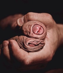 Boys Porn For the Love of Cock - Just Cocks, Tall, Skinny, Fat, Short 5f787e861f197.jpg