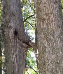 Just Fun Stuff Boys Porn - Funny Things People Do 5f8af70a2f7a7.jpg
