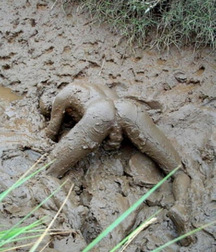 Just Fun Stuff Boys Porn - Funny Things People Do 5f8af71428d36.jpg
