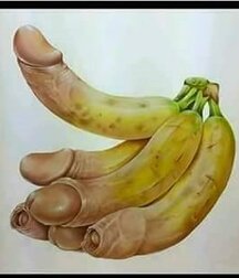 Just Fun Stuff Boys Porn - Funny Things People Do 5f8af726cd2a5.jpg