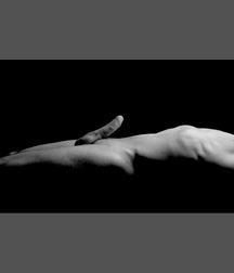 Fantastic Fotos - Male As An Work of Art Boys Porn 5fade5b887da3.jpg