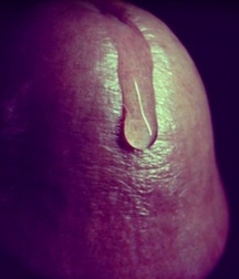 Cum Boys Porn - Ejaculating - Cum Shots - Hot & Messy 5faf156fd9f26.jpg
