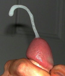 Cum Boys Porn - Ejaculating - Cum Shots - Hot & Messy 5faf158c483d7.jpg