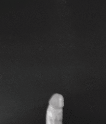 Ejaculations - Cum - Sperm - Cocksucking - Handjobs Boys Porn 5fb135ef95e0c.gif
