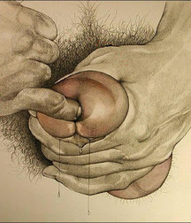 Gay Cartoons - Male Gay Porn Boys 5fbd4ea4bde4a.jpg