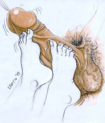 Gay Cartoons - Male Gay Porn Boys 5fbd4eb0e7f71.jpg