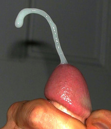 Cum - Cumming - Ejaculating Boys Porn - Orgasm! 5fc11b4b30b5e.jpg