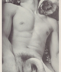 Vintage Naked Guys & Sex Boys Porn 600df65d17efd.jpg
