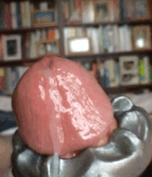 Cumming Strong Doesn't Get Any Better Than This Gay Tube 605bceea05c6a.gif