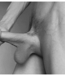 Stroking the Monkee for Fun & Pleasure - Cocks Boys Porn 60650b5ba6e88.gif