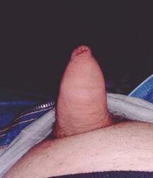 Small Dicks Are Fun & Tasty - Deep Throat Easily! Gay Tube 606663af63d6a.jpg