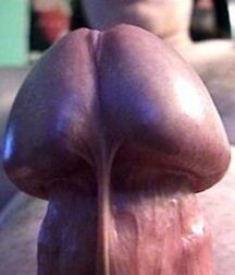 Helmet Head Cocks - Flared, Defined Heads - Unique 606917fe0ceff.jpg