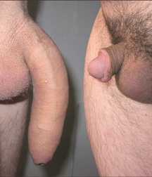 Size Difference - The Long & Short Of It - Cocks Boys Porn 60913101bf3e5.jpg