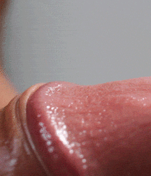 Uncut Boys Porn - Hooded Foreskin Protection 60a5c3b44a3e2.gif