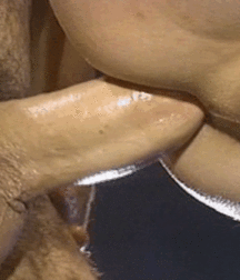 Hot Blooded Action - BB Guys, Cocksucking Twinks Porn 60be9d489d3ca.gif