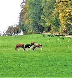 My God how beautiful nature is boys porn outdoors public 