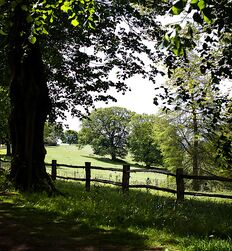 My God how beautiful nature is boys porn outdoors public 