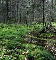 My God how beautiful nature is boys porn outdoors public 