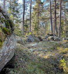 My God how beautiful nature is boys porn outdoors public 