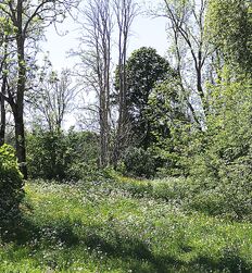 My God how beautiful nature is boys porn outdoors public 