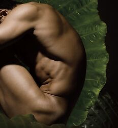 Art Photographers Fitness Guys Gay Porn Images 