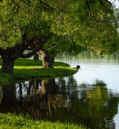 My God how beautiful nature is ! 
