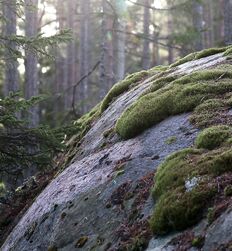 My God how beautiful nature is ! 