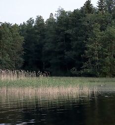 My God how beautiful nature is ! 