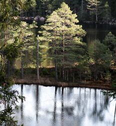 My God how beautiful nature is ! 