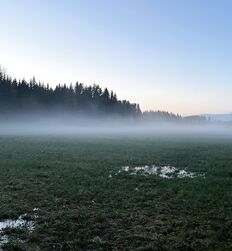 My God how beautiful nature is ! 